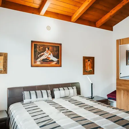 Villa Affluent Penthouse In With Lift Bad Kleinkirchheim